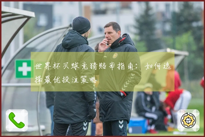 世界杯买球竞猜赔率指南：如何选择最优投注策略