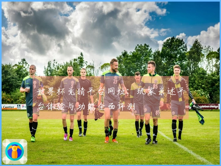 世界杯竞猜平台网址：玩家亲述平台体验与功能全面评测