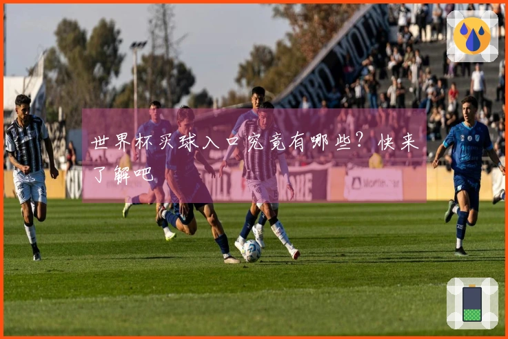 世界杯买球入口究竟有哪些？快来了解吧