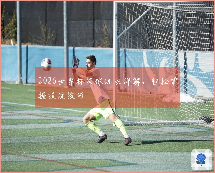 2026世界杯买球玩法详解，轻松掌握投注技巧