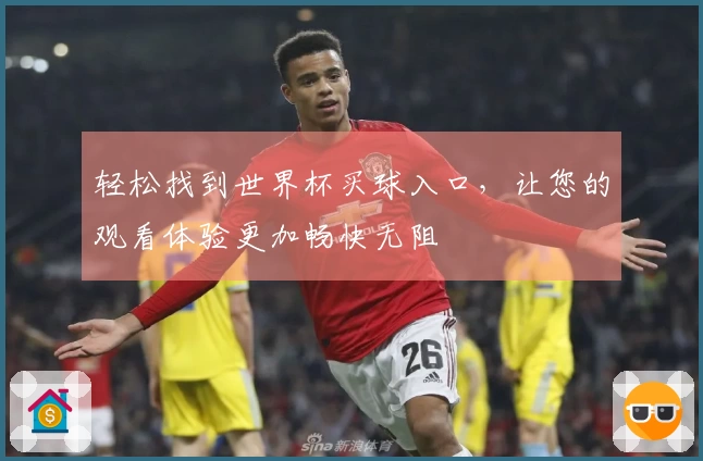 轻松找到世界杯买球入口，让您的观看体验更加畅快无阻