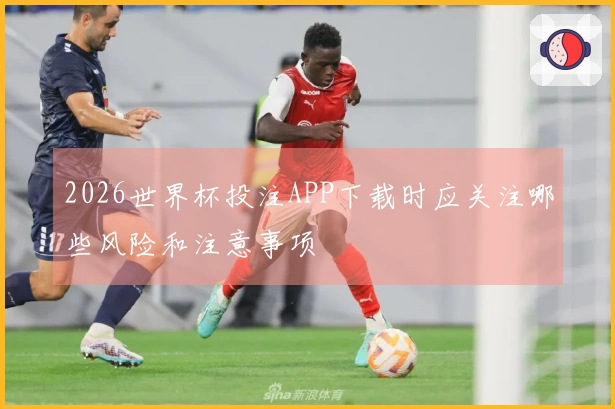 2026世界杯投注APP下载时应关注哪些风险和注意事项