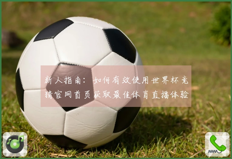 新人指南：如何有效使用世界杯竞猜官网首页获取最佳体育直播体验
