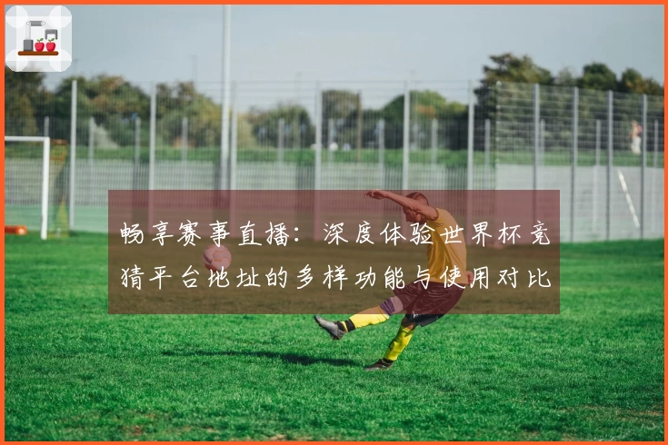 畅享赛事直播：深度体验世界杯竞猜平台地址的多样功能与使用对比
