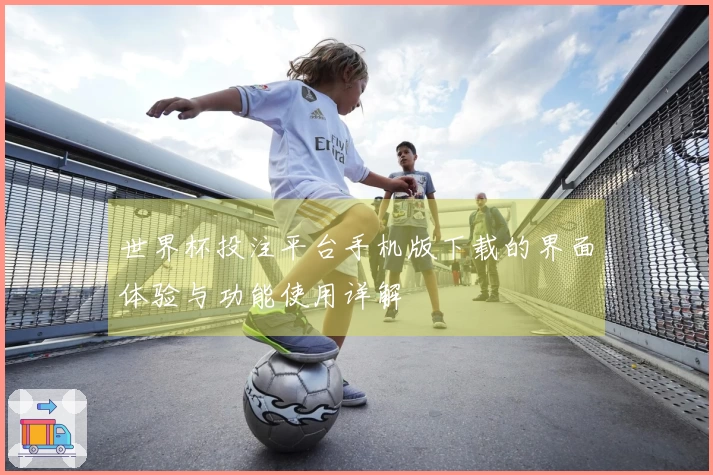 世界杯投注平台手机版下载的界面体验与功能使用详解