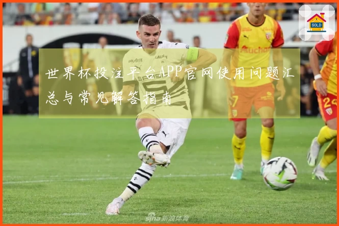 世界杯投注平台APP官网使用问题汇总与常见解答指南