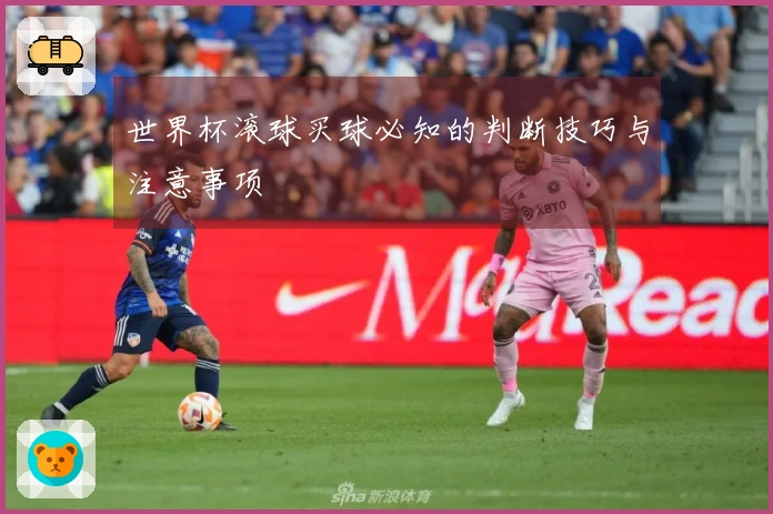 世界杯滚球买球必知的判断技巧与注意事项