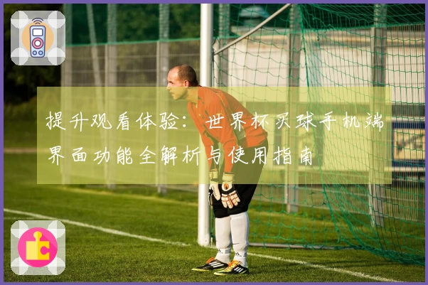 提升观看体验：世界杯买球手机端界面功能全解析与使用指南