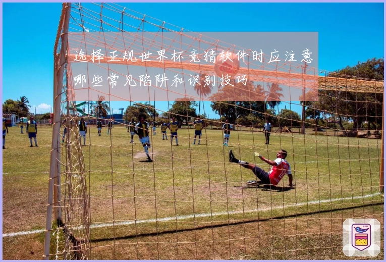 选择正规世界杯竞猜软件时应注意哪些常见陷阱和识别技巧