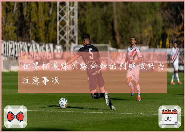 世界杯滚球买球必知的判断技巧与注意事项
