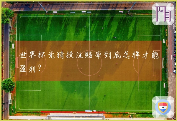 世界杯竞猜投注赔率到底怎样才能盈利？