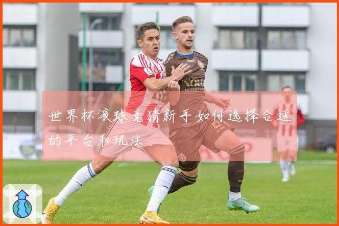 世界杯滚球竞猜新手如何选择合适的平台和玩法
