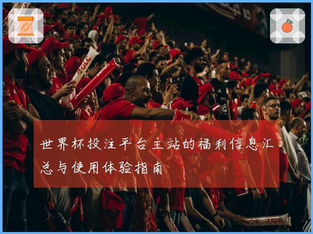 世界杯投注平台主站的福利信息汇总与使用体验指南
