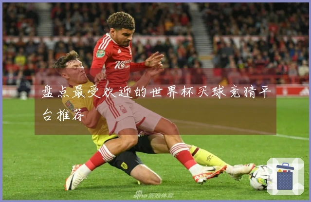 盘点最受欢迎的世界杯买球竞猜平台推荐
