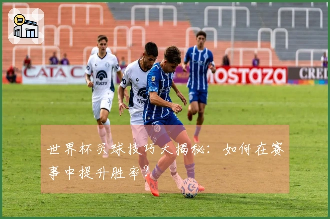世界杯买球技巧大揭秘：如何在赛事中提升胜率？
