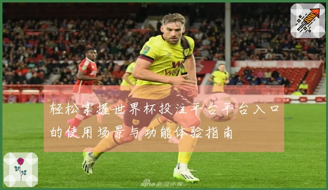 轻松掌握世界杯投注平台平台入口的使用场景与功能体验指南