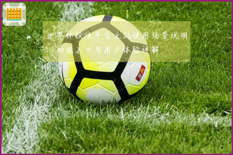 世界杯投注平台主站使用场景说明：功能入口与用户体验详解