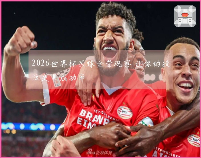 2026世界杯买球全景观察 让你的投注更具成功率