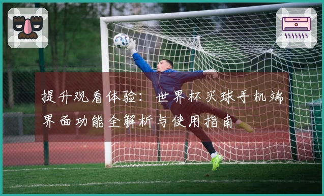 提升观看体验:世界杯买球手机端界面功能全解析与使用指南