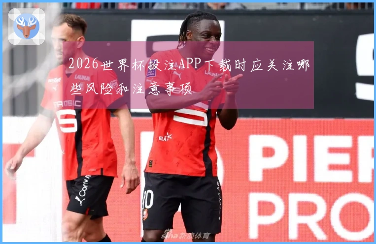 2026世界杯投注APP下载时应关注哪些风险和注意事项