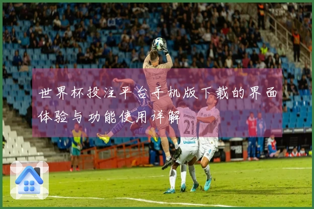 世界杯投注平台手机版下载的界面体验与功能使用详解